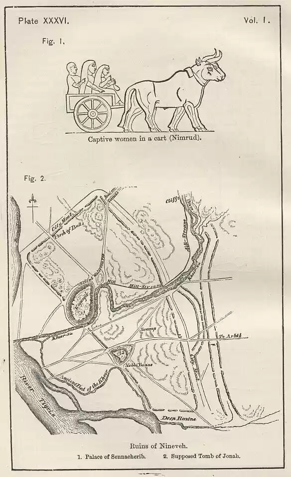 plate036